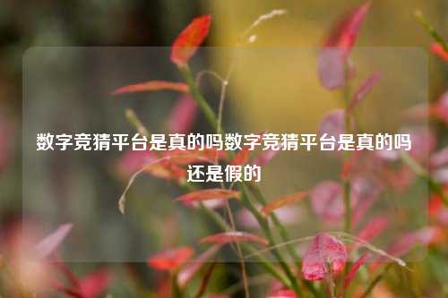 数字竞猜平台是真的吗数字竞猜平台是真的吗还是假的