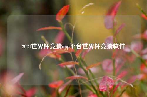 2021世界杯竞猜app平台世界杯竞猜软件