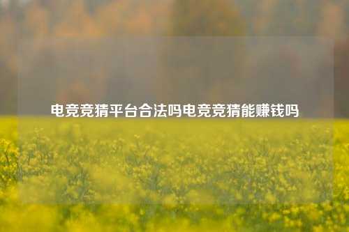 电竞竞猜平台合法吗电竞竞猜能赚钱吗