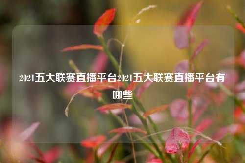 2021五大联赛直播平台2021五大联赛直播平台有哪些