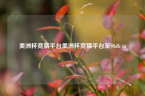 美洲杯竞猜平台美洲杯竞猜平台至98db in