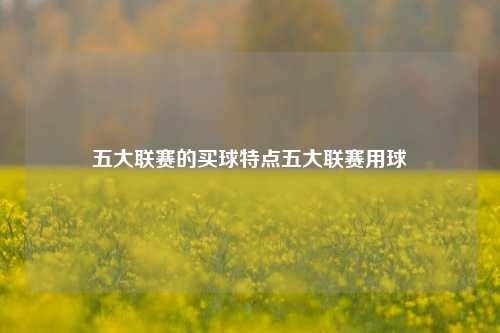 五大联赛的买球特点五大联赛用球
