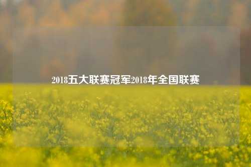2018五大联赛冠军2018年全国联赛