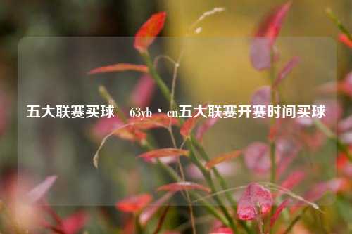 五大联赛买球齁63yb丶cn五大联赛开赛时间买球