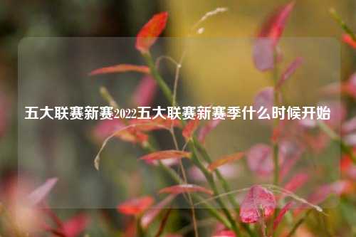 五大联赛新赛2022五大联赛新赛季什么时候开始