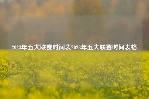 2023年五大联赛时间表2023年五大联赛时间表格