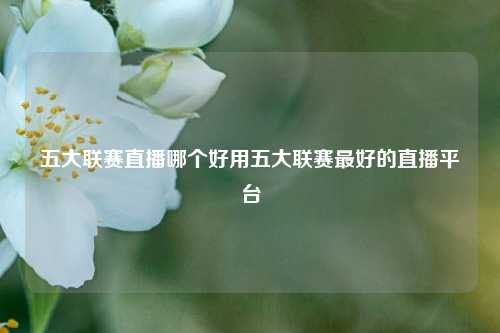 五大联赛直播哪个好用五大联赛最好的直播平台