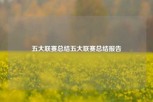 五大联赛总结五大联赛总结报告