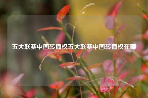 五大联赛中国转播权五大联赛中国转播权在哪