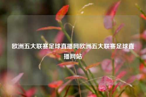 欧洲五大联赛足球直播网欧洲五大联赛足球直播网站