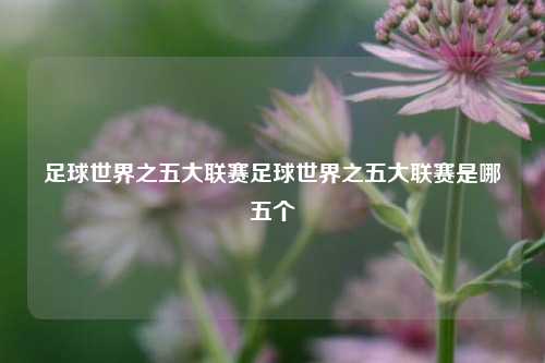 足球世界之五大联赛足球世界之五大联赛是哪五个