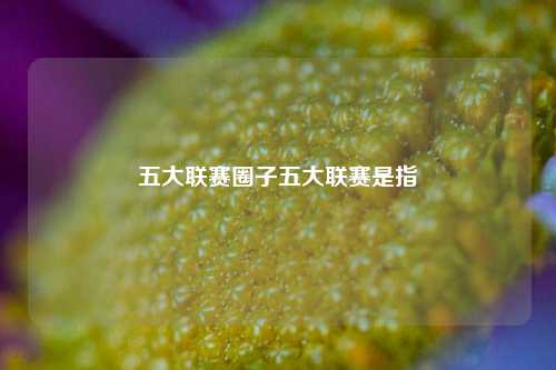 五大联赛圈子五大联赛是指