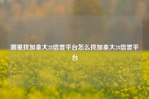 哪里找加拿大28信誉平台怎么找加拿大28信誉平台