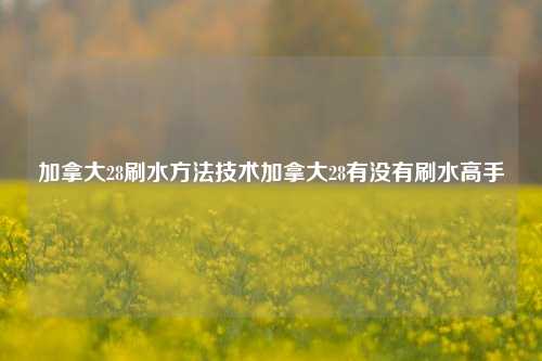 加拿大28刷水方法技术加拿大28有没有刷水高手