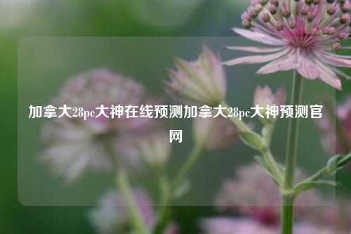 加拿大28pc大神在线预测加拿大28pc大神预测官网