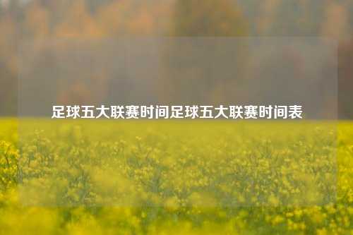 足球五大联赛时间足球五大联赛时间表