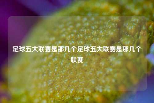 足球五大联赛是那几个足球五大联赛是那几个联赛