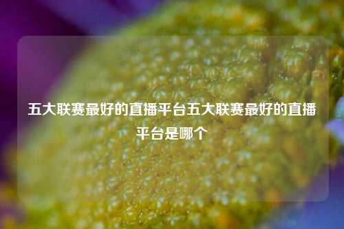五大联赛最好的直播平台五大联赛最好的直播平台是哪个