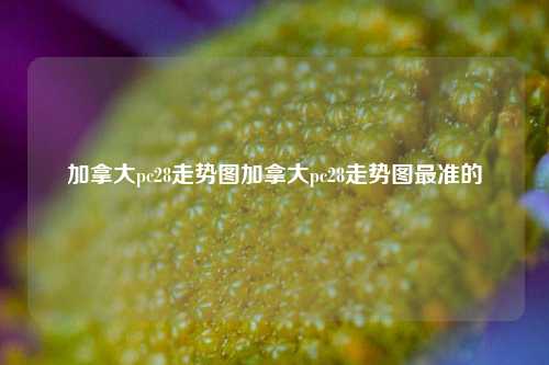 加拿大pc28走势图