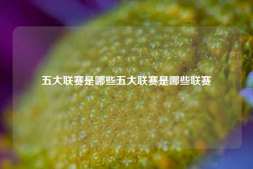 五大联赛是哪些五大联赛是哪些联赛