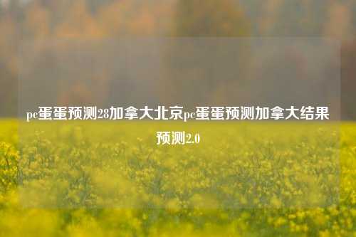 pc蛋蛋预测28加拿大北京pc蛋蛋预测加拿大结果预测2.0