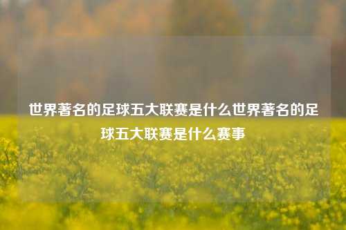 世界著名的足球五大联赛是什么世界著名的足球五大联赛是什么赛事