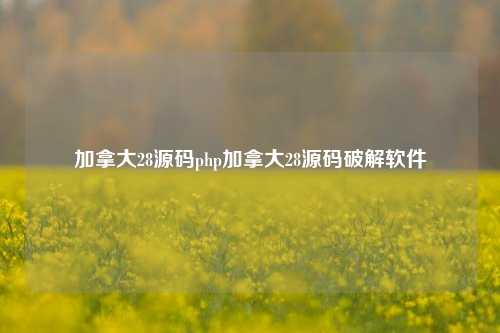 加拿大28源码php加拿大28源码破解软件